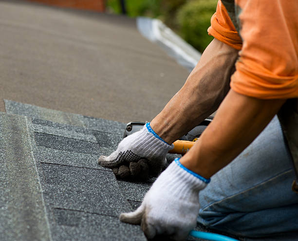 Best Roof Gutter Cleaning  in Lindenwold, NJ